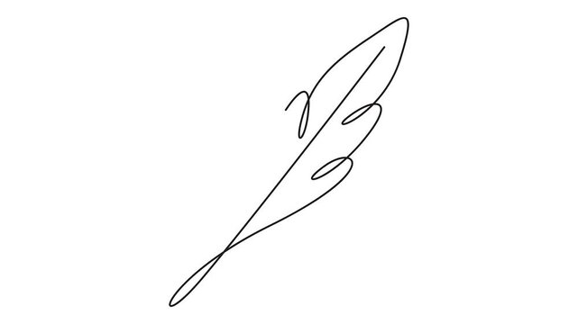 Continuous line drawing of a feather icon vector illustration animation