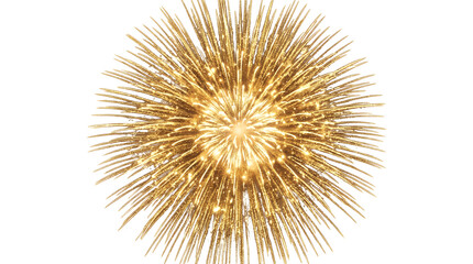 Obraz premium Macro shot of a sharp sea urchin isolated on white background.