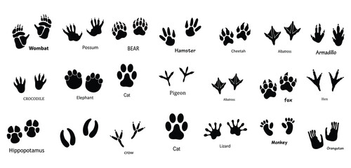 Obraz premium Animal Footprints Vector Set , Frog Footprints, Pet Paw Prints and Animal Feet Silhouette Collection Isolated on White Background.eps