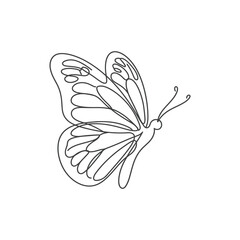 Elegant Butterfly Line Art - Minimalist Insect Drawing © fanya