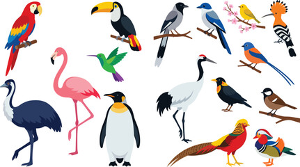 Naklejka premium Wild Bird Collection – Macaw, Toucan, Flamingo, Penguin, Crane, Pheasant and Songbird Set