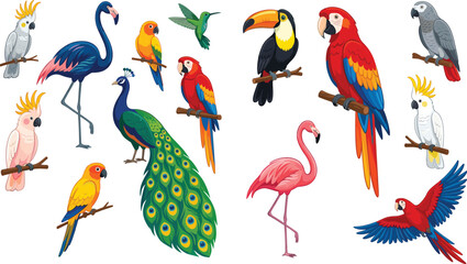 Obraz premium Exotic Bird Collection – Flamingo, Peacock, Toucan, Macaw and Parrot Illustration Set