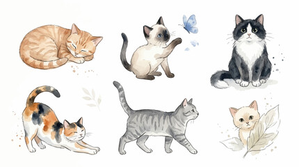 Fototapeta premium Six cats play with a butterfly in a garden