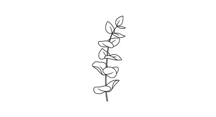 Minimalist eucalyptus leaf branch line art illustration © afriza