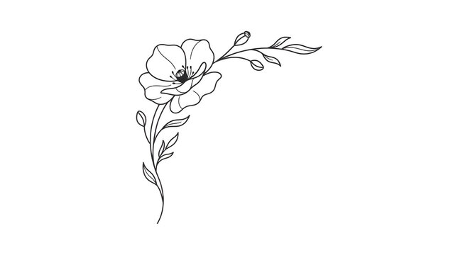 Hand drawn poppy flower corner flourish illustration with delicate botanical line art sketch style