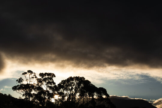 dramatic sunset with golden light dark clouds and eucalyptus trees