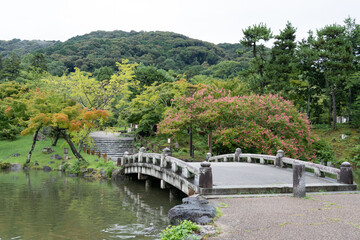 Fototapeta premium 円山公園のひょうたん池にかかる橋