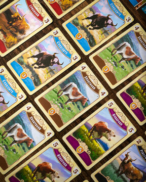 Portrait close up product photography of Great Western Trail game cards featuring diverse cattle livestock designs by Alexander Pfister and artist Chris Quilliams
