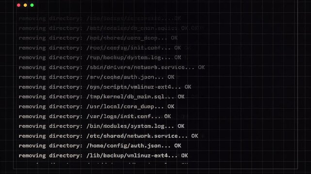 Terminal Interface Showing Command Line File Deletion Process