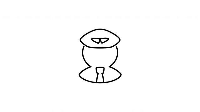 Minimalist outline animation of an aviation airline pilot captain wearing a uniform hat icon drawing on and fading out. Features a clean pop up style in 3 color setups.