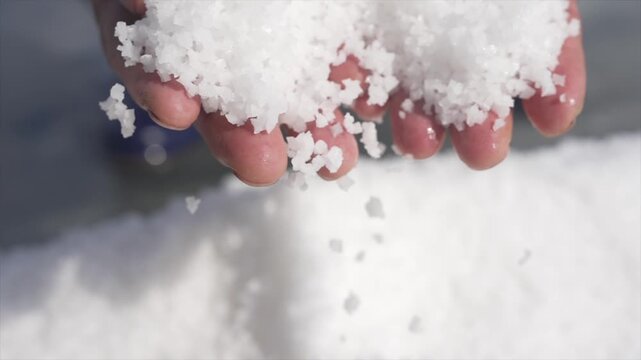Close-up of a worker's hands dropping fresh white sea salt crystals at a salt farm in Sinan, South Korea