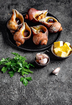 Raw giant Chilean sea snails (escargot) in their natural spiral shells arranged on a black plate