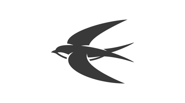 Black bird in flight motion.