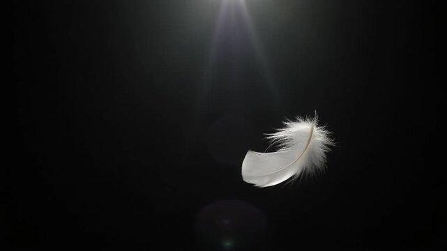 Single white feather slowly floating downward in a dark void captured in slow motion video footage