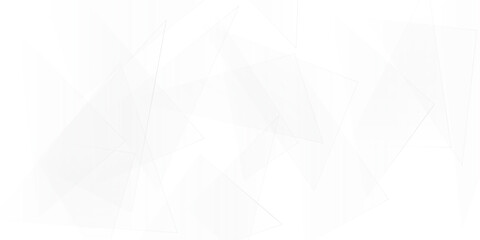 Obraz premium Abstract white and gray business wave technology voice concept line on White wave curve lines banner background design. Abstract soft wave lines dynamic flowing gray light isolated background. 