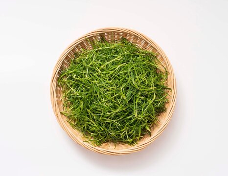 날것,갯나물,대나무,바구니,한국