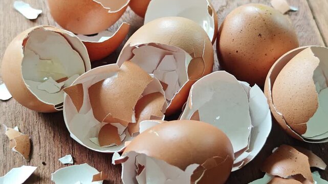 A group of empty brown chicken eggshells rests