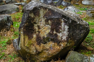 Weathered natural boulder stone covered in moss and lichen. Authentic forest rock element for nature layouts. © EkoPriyatno