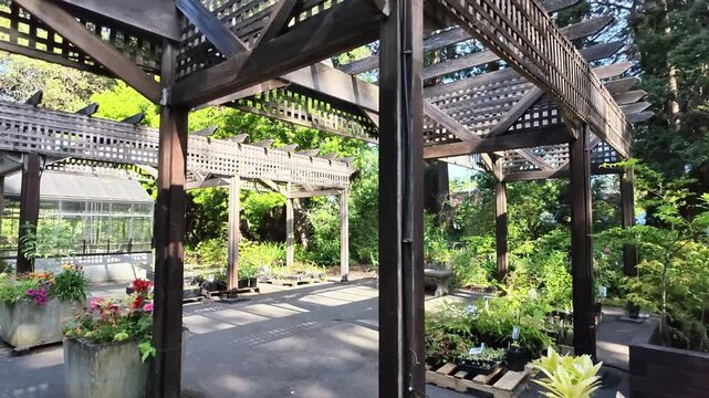 Panning shot of wooden pergola walkway in a botanical garden nursery