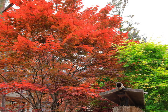  Kitano Tenman gu Shrine with 10th-century origins featuring in Kamigyo Ward, Kyoto, Japan