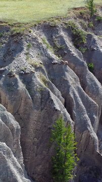 Vertical aerial video view from drone of river Chuya Pillars in Altai. Camera moves backwards.