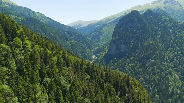 Altindere, Trabzon Province, Turkey. Altindere Valley National Park, aerial drone flight through dense coniferous forest and steep limestone gorge, bright summer daylight. Aerial View
