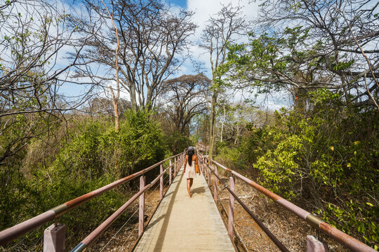 Woman walking down a wooden boardwalk to a viewpoint, Fernando de Noronha, Pernambuco, Brazil