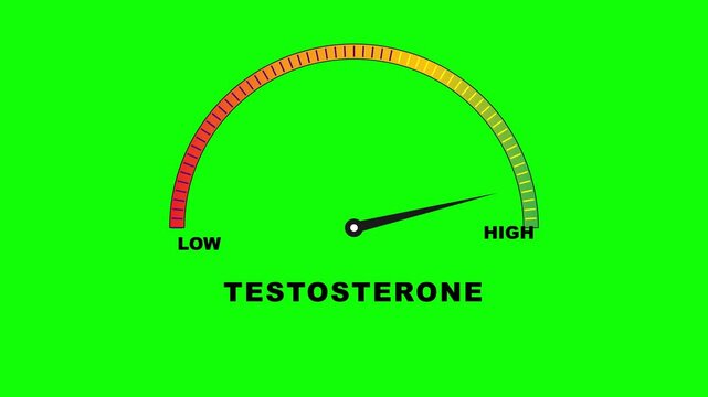Green Screen Motion Testosterone Level Gauge Moving From Low To High Animation