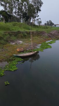 Serene riverbank with traditional wooden boat docked amidst lush greenery and water hyacinths