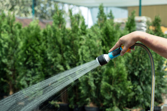 Gardener watering plants using hose in a garden shop
