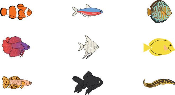 Aquarium and Tropical Fish Vector Set with Clownfish Neon Tetra Angelfish Discus Betta and Goldfish Elements for Pet Shop Graphic Designs
