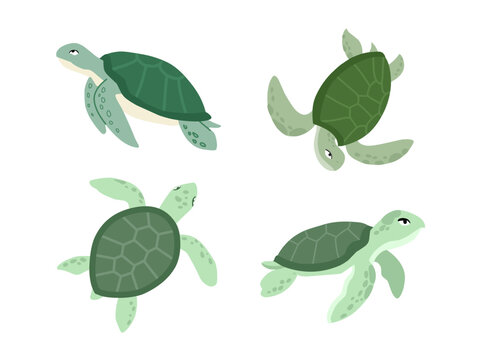Illustration set featuring sea turtles swimming in various angles and poses. Suitable for World Sea Turtle Day, marine conservation campaigns, ocean ecosystem education, wildlife awareness, childrens