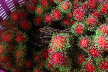 Fototapeta premium Fresh rambutan fruit cluster with vibrant red hairy shells and green spines piled in basket, showing natural texture and tropical harvest freshness