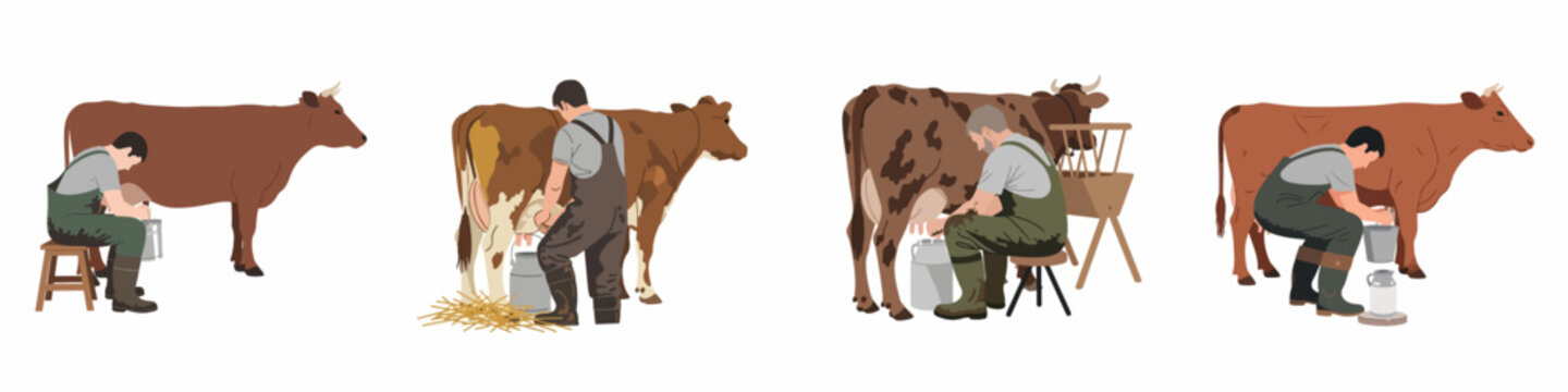 Set of four flat vector illustrations depicting male farmers milking cows manually on a white background, representing traditional dairy farming.
