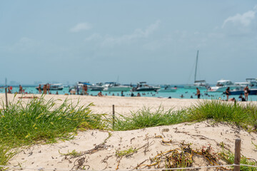 Fototapeta premium Beautiful Caribbean beach Playa Norte or North beach on the Isla Mujeres near Cancun, Mexico