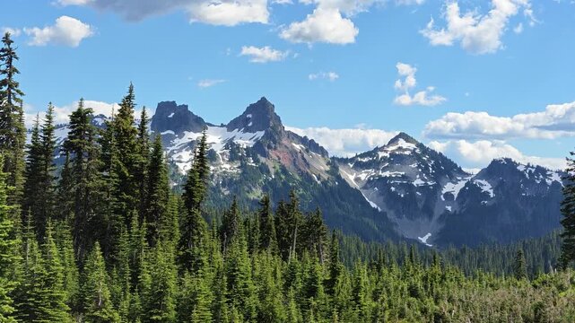 Panoramic view of snow-capped mountains and evergreen forest in Washington state