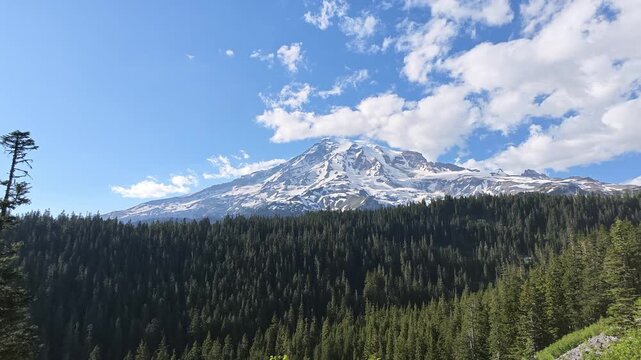Panoramic view of Mount Rainier snow-capped peak above evergreen forest