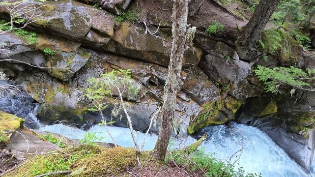 Panning shot of rushing waterfall in Washington forest