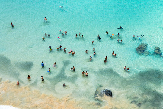 Aerial top view of people snorkeling in a turquoise natural pool, Fernando de Noronha, Pernambuco, Brazil