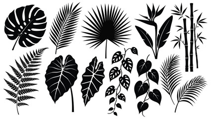 Collection of tropical leaves and plants in black silhouette on white background © Amirul
