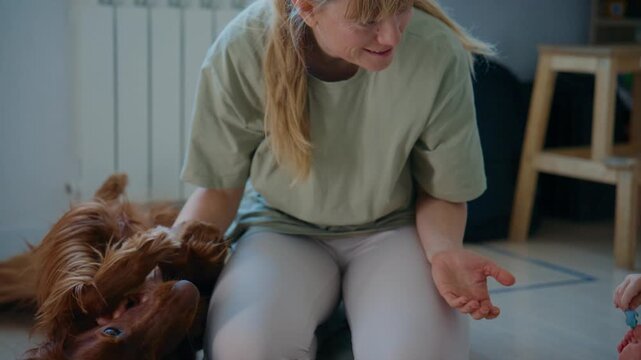 Young woman plays with her Irish Setter indoors. She kneels beside the dog, smiling as she interacts. The dog lies relaxed, enjoying her attention. Footage captures tender pet-owner bonding moments