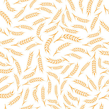 Wheat background. Wheat or rice seamless pattern square orientation. Wheat ears endless motif wallpaper