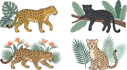 Wild Leopard and Black Panther Vector Illustration Set Featuring Exotic Jungle Tropical Leaves and Flowers for Fabric Wallpaper and Graphic Designs © ArjunaAkter