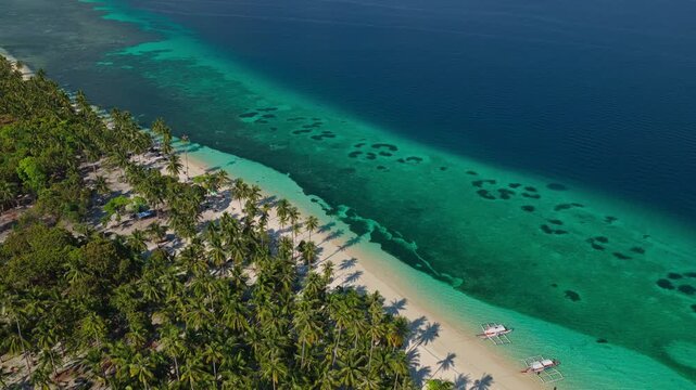 Aerial backward reveal flight of Tangkahan Island coastline, Balabac, Palawan, Philippines. Pull away drone tracking shot showcases tropical palm trees, pristine sandy shore, and turquoise reef bounda