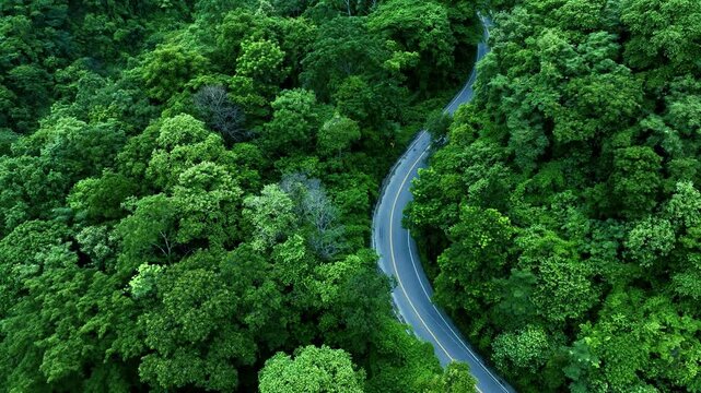 Aerial forest road with car creating abstract background for electric vehicle, ESG, sustainability and green investment business concepts.
