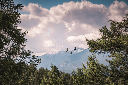 Adventure Zipliners Crossing Above Forest with Canadian Rocky Mountains in Golden, British Columbia, Canada