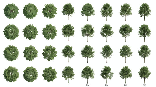 Green deciduous tree collection, 32 realistic tree vector set with top view and side view perspectives, architectural landscape design elements