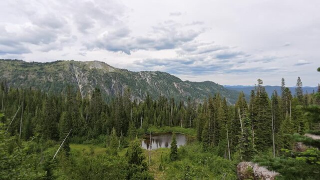 Panoramic view of mountain lake and pine forest in Washington state
