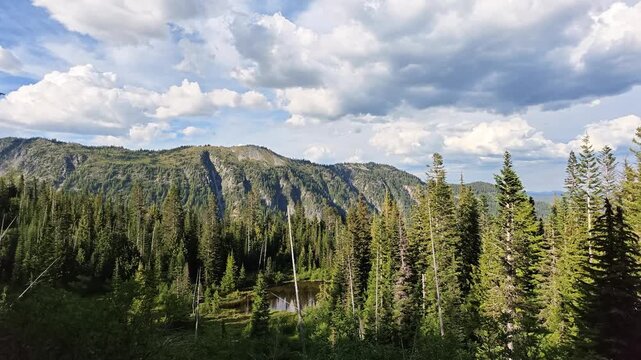 Panoramic view of mountain ridge and pine forest in Washington state