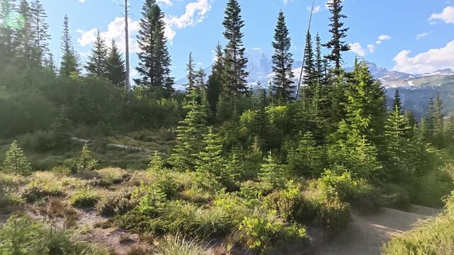 Panning view of hiking trail through alpine forest with mountain backdrop
